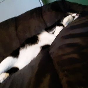 Meet your Posher, Danika